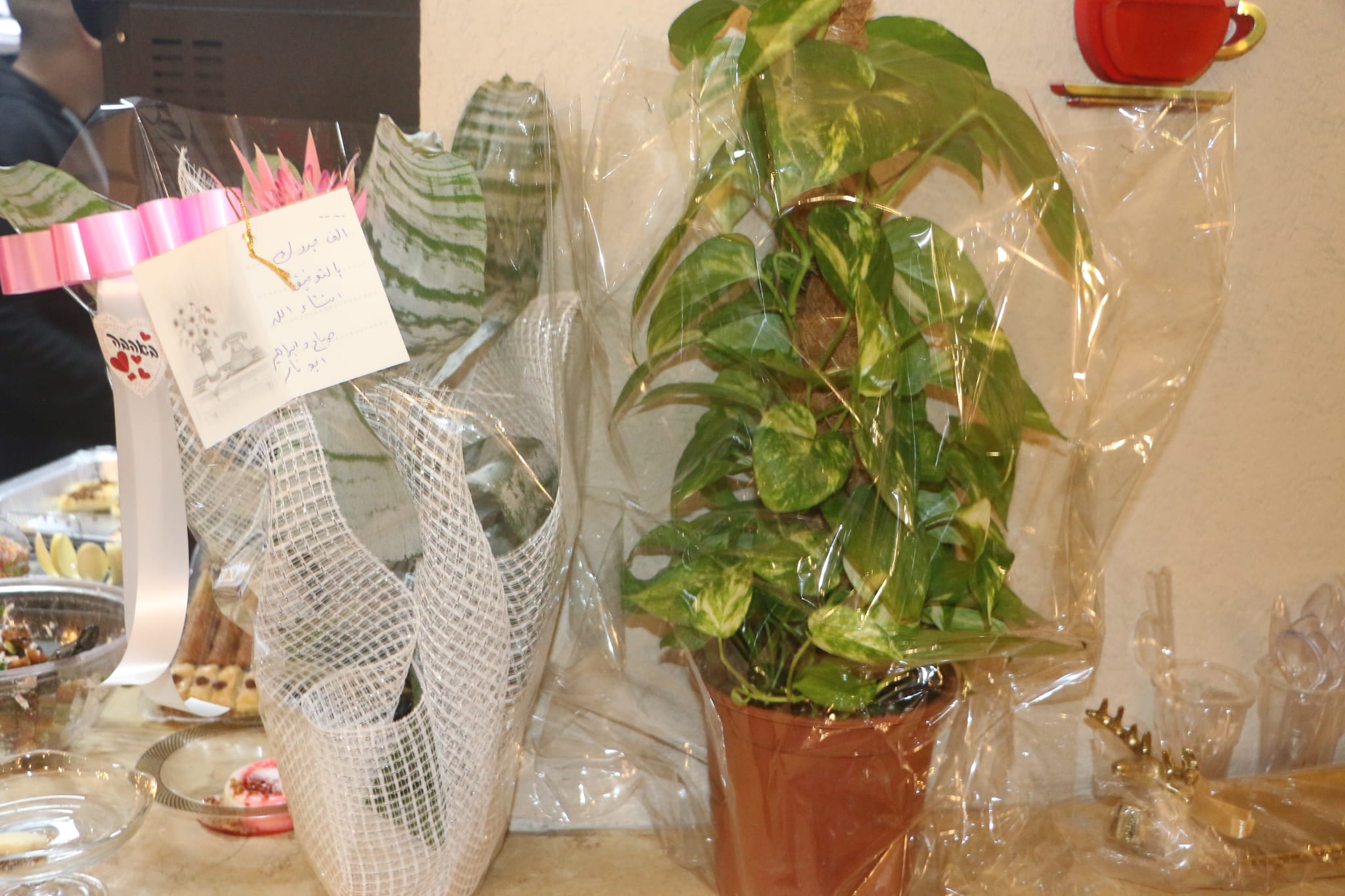 WhatsApp Image 2023-01-22 at 9.59.11 PM (3).jpeg